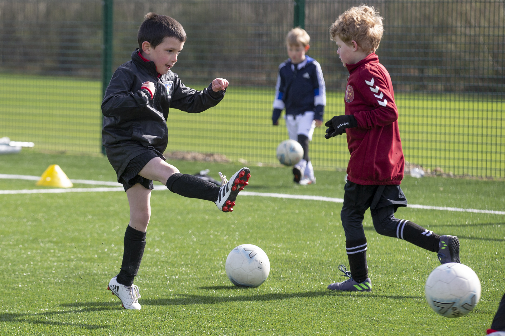 Primary Pars